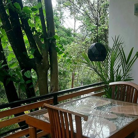 Dhanudi Homestay Ella Buitenkant foto