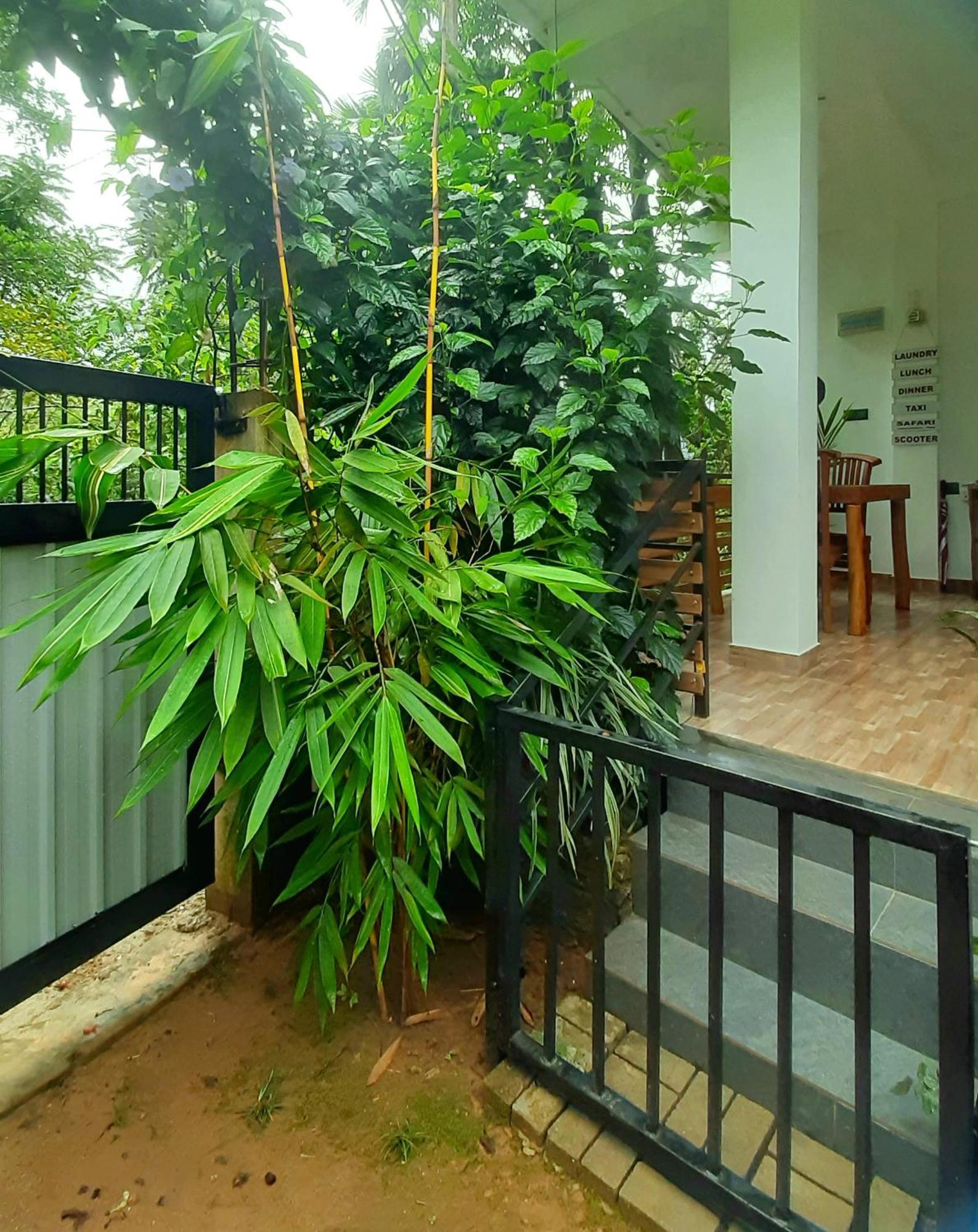 Dhanudi Homestay Ella Buitenkant foto