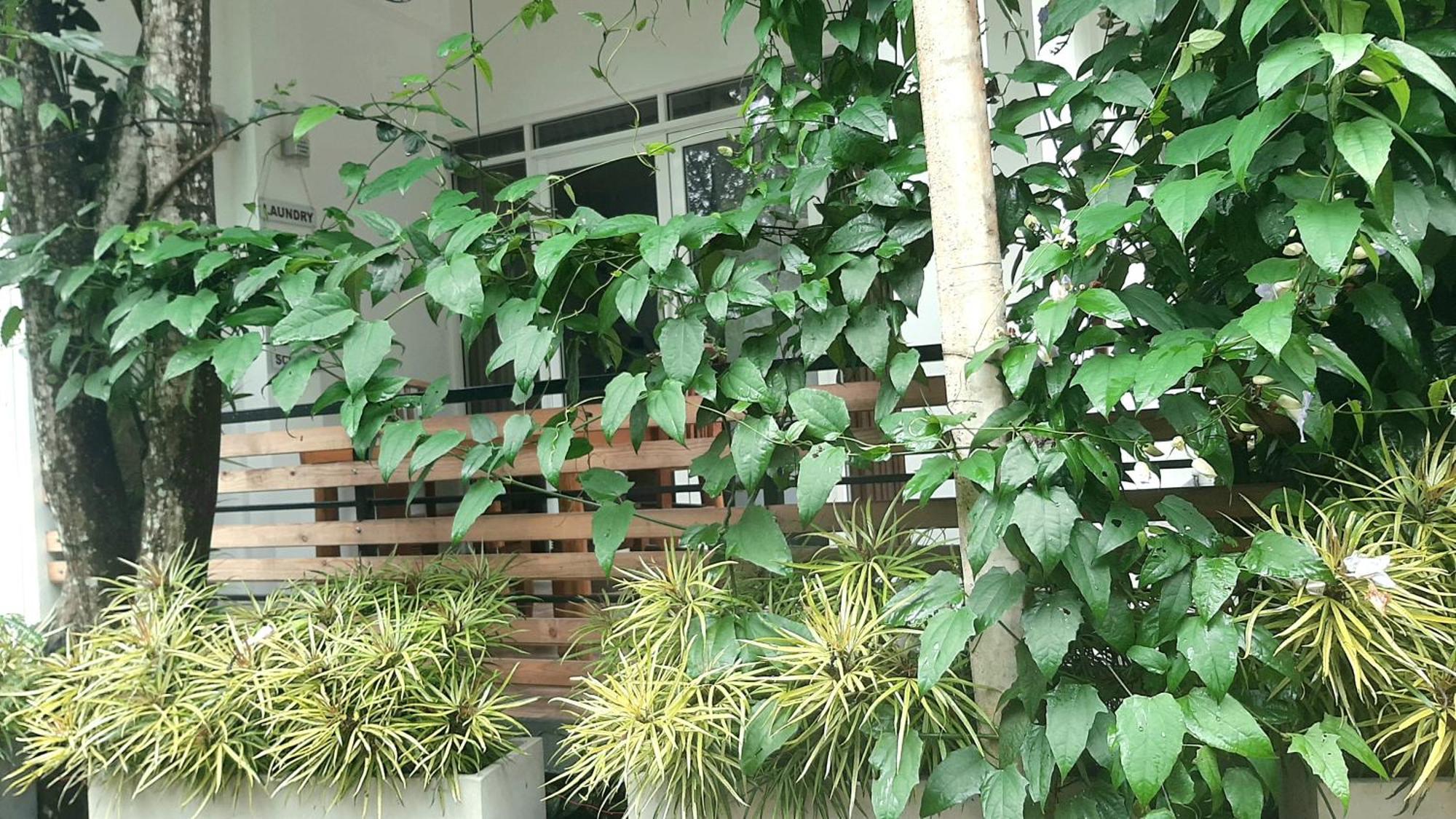 Dhanudi Homestay Ella Buitenkant foto